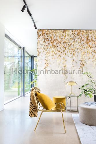 willow sun fotomurales dgwio101 Wall Design Khroma