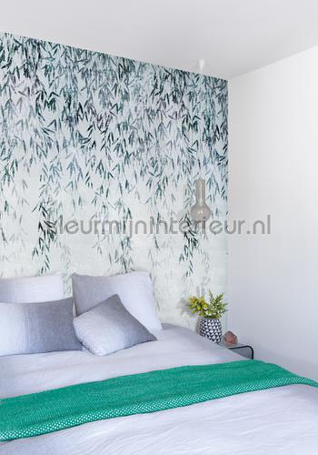 willow shade fotobehang dgwio102 Wall Design Khroma