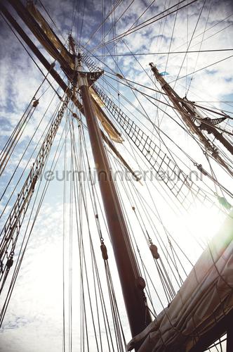 Wallpower Junior The Mast fototapet 364142 pirater Eijffinger
