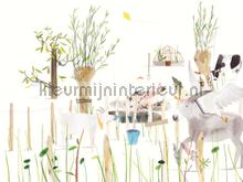 Wallpower Junior Farm Life papier murales Eijffinger Wallpower Junior 364161