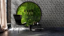 88826 fottobehaang AS Creation Walls by Patel 2 dd113537