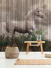 unicorn fototapeten AS Creation Walls by Patel 2 dd113957