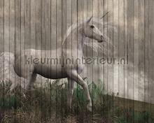 unicorn fotomurales AS Creation Walls by Patel 2 dd113957