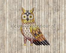 owl fototapeten AS Creation Walls by Patel 2 dd113967