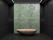 89003 papier peint AS Creation Walls by Patel 2 dd114427