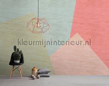 89036 papier peint AS Creation Walls by Patel 2 dd114607