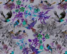 Funky birds 2 fottobehaang AS Creation Walls by Patel dd110181