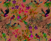 Funky birds 3 fototapet AS Creation stemning 
