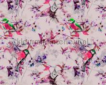 Songbirds 1 wallcovering AS Creation Walls by Patel dd110226