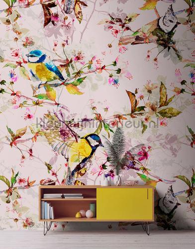 Songbirds 2 tapet dd110231 Walls by Patel AS Creation