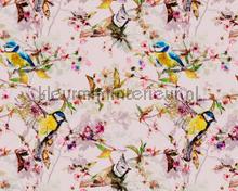 Songbirds 2 fotomurales AS Creation Walls by Patel dd110231