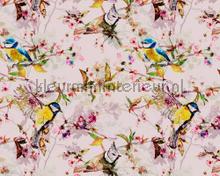 Songbirds 2 fototapet AS Creation stemning 