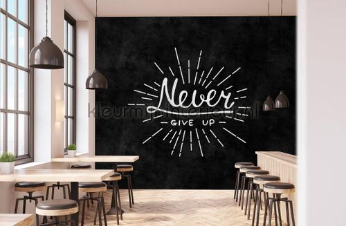 Blackboard 3 never give up tapeten dd110316 Walls by Patel AS Creation