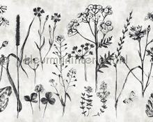 Sketchpad 1 plants behang AS Creation Walls by Patel dd110351