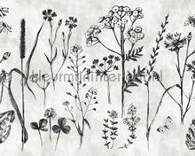 Sketchpad 1 plants behaang AS Creation Walls by Patel dd110351