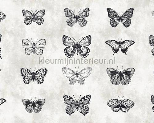 Sketchpad 3 butterflies behang dd110361 Walls by Patel AS Creation