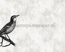 Sketchpad 4 bird left behang AS Creation Walls by Patel dd110366
