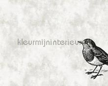 Sketchpad 5 bird right papier peint AS Creation Walls by Patel dd110371