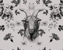 Heroes 2 goat behang AS Creation Walls by Patel dd110386