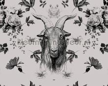 Heroes 2 goat carta da parati AS Creation Walls by Patel dd110386