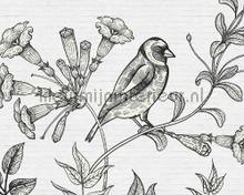 Birdy 1 papier murales AS Creation Walls by Patel dd110416