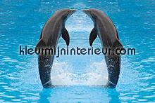 Dolfijnen fotomurais Dutch Wallcoverings selva 