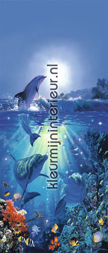dolphin in the sun fotobehang 513 aanbieding fotobehang Ideal Decor