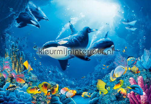 delight of life fotobehang 00118 aanbieding fotobehang Ideal Decor