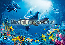 delight of life fotobehang 00118 aanbieding fotobehang Ideal Decor