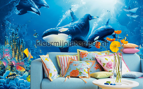 delight of life fotobehang 00118 aanbieding fotobehang Ideal Decor