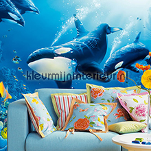 delight of life fotobehang 00118 aanbieding fotobehang Ideal Decor