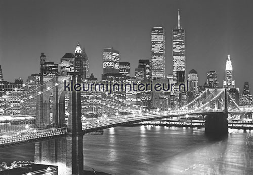 Manhattan Skyline at Night fototapet 138 Ideal-Decor Poster Ideal Decor