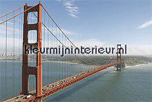 golden gate fotomurales Noordwand Evolutions II 1173