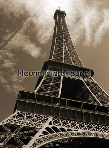 eiffel tower photomural 1174 Evolutions II Noordwand