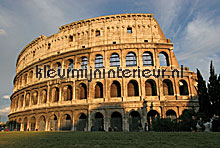 Colosseum fottobehaang Noordwand Evolutions II 1157