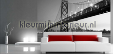 San Francisco Skyline fotobehang 00134 Ideal-Decor Poster Ideal Decor