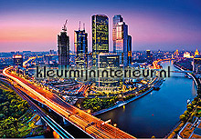 Moscow twilight fotomurales Ideal Decor oferta 