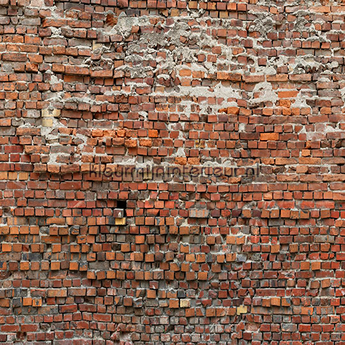 Bricklane fotobehang V5-743 Stenen - Beton Komar