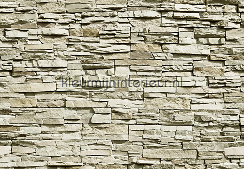 The Wall fotobehang 143 Stenen - Beton Ideal Decor