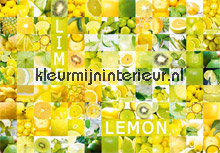 Lemon fotobehang AS Creation XXL Wallpaper 0331-11