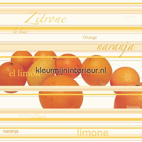 Orange | Lemon fotomurales 0331-8 XXL Wallpaper AS Creation