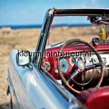 Car/beach photomural Dutch Wallcoverings teenager 