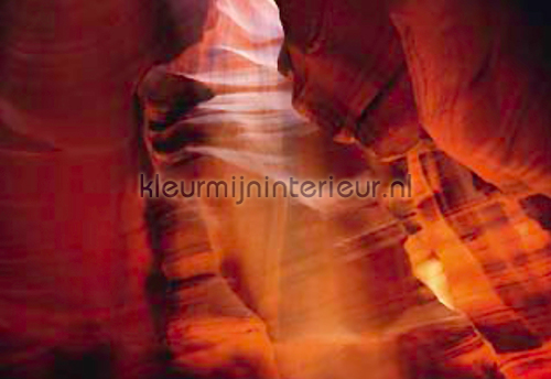 Antelope Canyon Sunray fotobehang Bossen