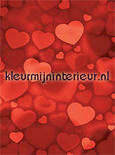 valentine papier murales Noordwand Evolutions II 1190