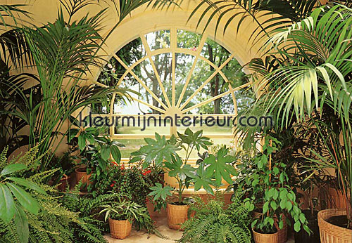 wintergarden wide fototapeten 231 Ideal-Decor Poster Ideal Decor