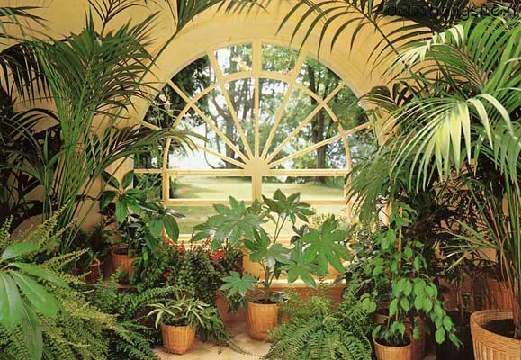 Wintergarden wide fotomurales Ideal Decor oferta 