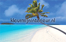 cook islands fotomurales Noordwand Evolutions II 1162