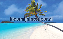 Cook islands fototapet Noordwand verdenskort 