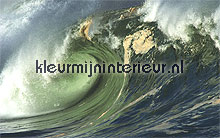 wave papier murales Noordwand Evolutions II 1163