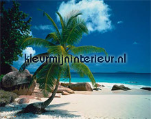 Beach fotobehang AS Creation XXL Wallpaper 0311-8